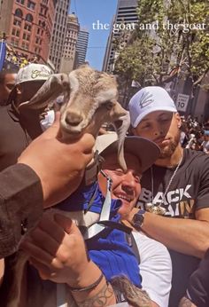 a goat sticking its head through the crowd's hands