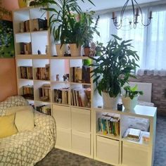 a living room filled with furniture and lots of plants on top of bookshelves