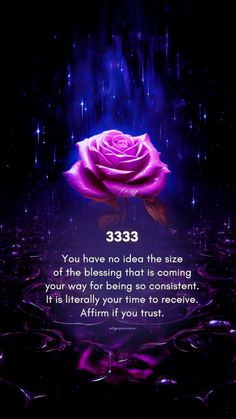 a purple rose with a quote on it that says, 533 you have no idea the size of the blessing that is coming your way for being so content