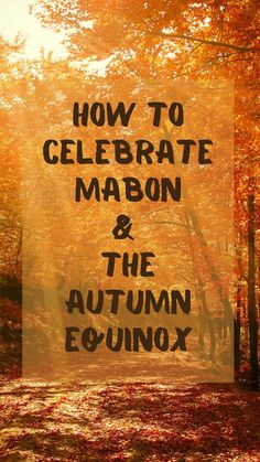 Maybon and how to celebrate. Autumnal Equinox Celebration, Celebrate Mabon, Wicca Holidays, Oracle Card Spreads, Pagan Festivals, Nature Witch, Spiritual Dimensions, Autumnal Equinox