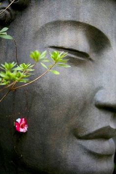 a close up of a buddha statue with a flower in its mouth and leaves around it