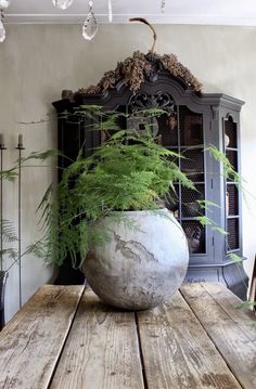 a potted plant sitting on top of a wooden table