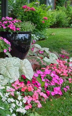 pink and white petunias in a garden with large black potted planter