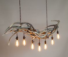 a chandelier made out of driftwood with light bulbs hanging from the ceiling