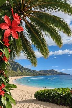 the beach is lined with palm trees and flowers