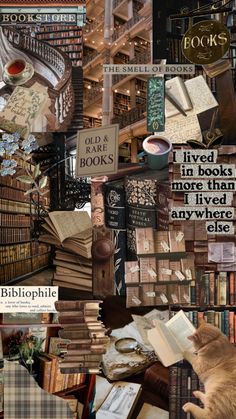 a collage of books and cats with the caption'i tried to read in books more than lived anywhere else '