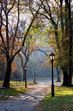 an empty park with trees and street lamps in the foreground, on a sunny autumn day