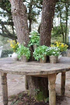 an old table with potted plants on it in the middle of a garden area