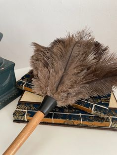 a feather quill resting on some books