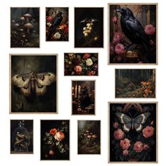 a bunch of paintings that are on the wall in front of some flowers and butterflies