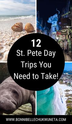 some pictures with the words 12 st pete day trips you need to take