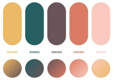 different shades of brown, orange and pink are shown in this graphic design scheme for the color palette