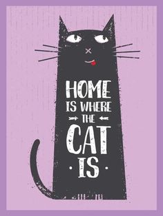 a black cat with the words home is where the cat is