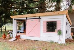 two chickens are outside in the yard near a chicken coop with pink doors and shutters