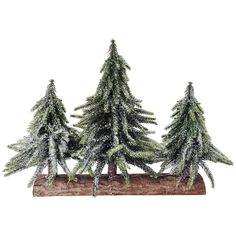 three evergreen trees are on top of a log