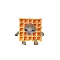 an animal sticking its head out of a waffle