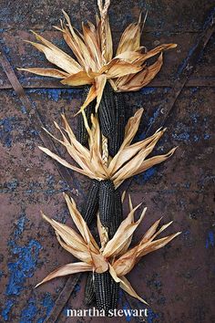 corn on the cob is laid out and ready to be eaten