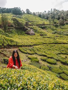 a woman sitting on top of a lush green hillside covered in tea bushes and trees