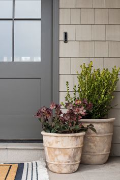 two potted plants sitting next to each other in front of a door