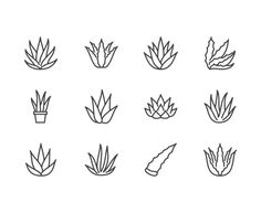 different types of plants in line style on white background stock photo © shutterstocker