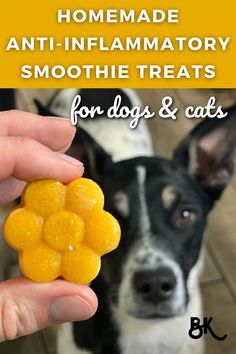 a hand holding an orange dog treat in front of a black and white dog with the words homemade anti - flamatory smoothie treats for dogs & cats