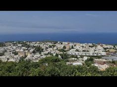 an aerial view of a city with trees and the ocean in the backround