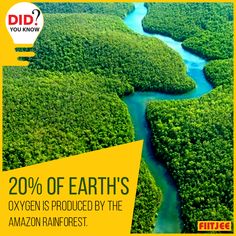 an aerial view of a river surrounded by green trees with the words, 20 % of earth's oxygen is produced by the amazon rainforest forest