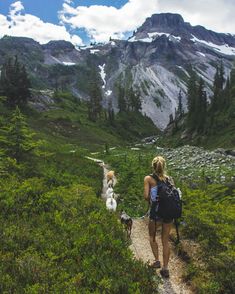 a woman and two dogs walking up a trail