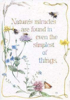 a card with flowers and butterflies on it that says nature's miracless are found in the smallest of things