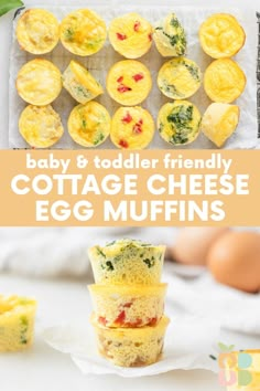 baby and toddler friendly cottage cheese egg muffins with eggs in the background