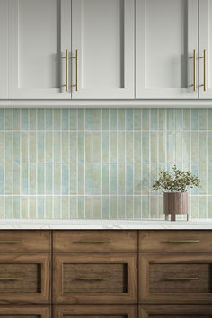 a kitchen with wooden cabinets and white cupboards next to a potted plant on the counter