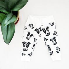 Jack Russell Terrier Baby Leggings For Girls And Boys, Organic Cotton Baby Pants, JRT Gifts, Dog Lover Baby Shower Gift, Puppy Baby Clothes Puppy Baby, Leggings For Girls, Black And White Baby, Baby Lovey