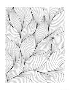 an abstract black and white pattern with wavy lines in the shape of leaves on a white background