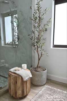 a potted tree sitting on top of a wooden table next to a bath tub