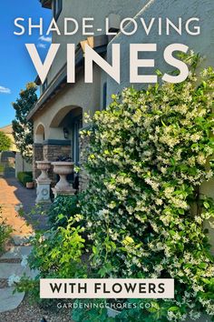 a house with white flowers and the words shade loving vines