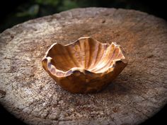 a shell shaped bowl sitting on top of a tree stump in the sun, resting on a piece of wood