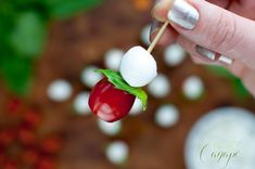 a person is holding a cherry and marshmallow on a toothpick stick