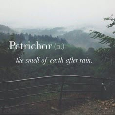 the words petrichor n are written in white on a foggy background with trees and hills