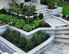 an outdoor garden with steps leading up to the house