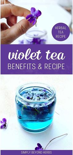 the benefits and uses of violet tea for skin, hair and nails in this recipe