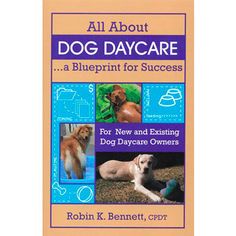 all about dog day care a blueprint for success