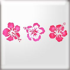 three pink flowers on a white background