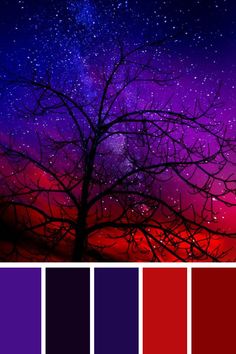 the night sky is filled with stars, and there are many colors to choose from