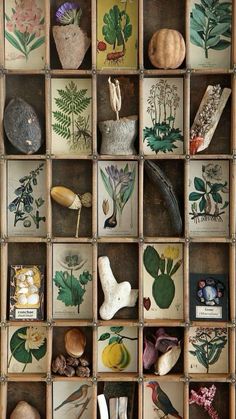 many different types of plants and rocks in a wooden box on the wall above them