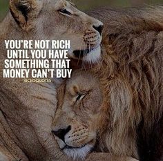 two lions hugging each other with the caption you're not rich until you have something that money can't buy