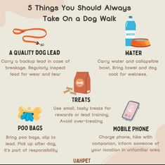 the 5 things you should always do to take on a dog walk info graphic with text