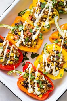 stuffed bell peppers topped with black beans, rice and cilantro sauce on a white platter