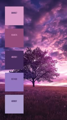 a tree in the middle of a field with purple and pink hues on it