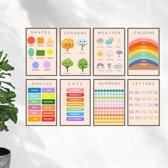 four posters with different types of weather and climates on them next to a potted plant