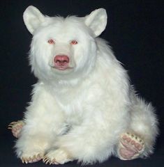 a large white polar bear sitting on top of a black background